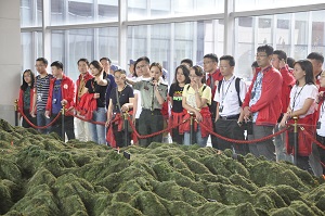 ��ʱKB88��(�й���)�ٷ���վ