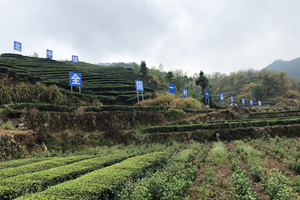 ��ʱKB88��(�й���)�ٷ���վ