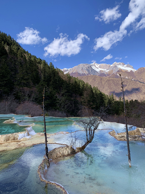 ��ʱKB88��(�й���)�ٷ���վ