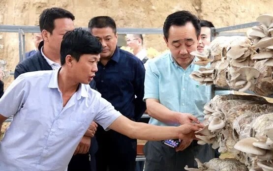 ��ʱKB88��(�й���)�ٷ���վ